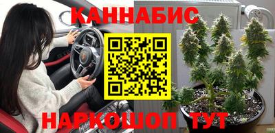 Альфа ПВП Кимры