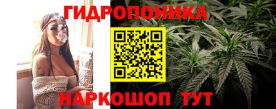 Альфа ПВП Кимры