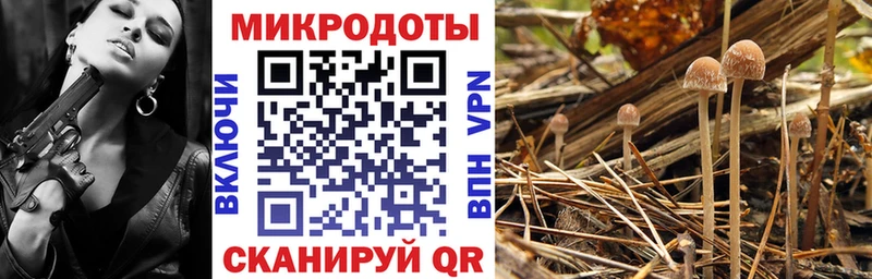 Псилоцибиновые грибы ЛСД  Куйбышев 