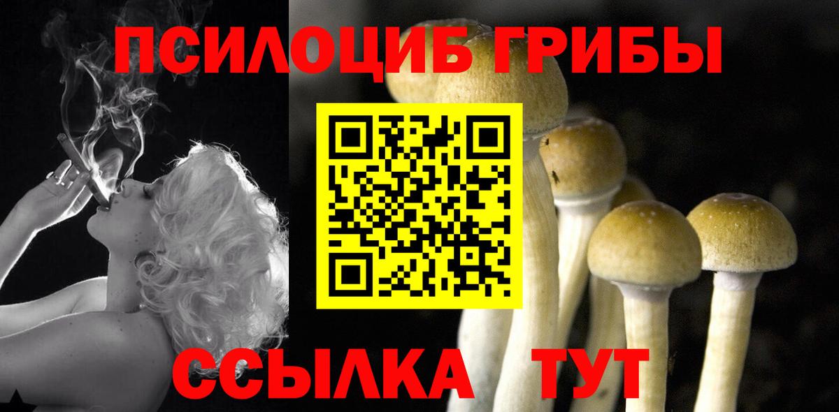 Галлюциногенные грибы прущие грибы  Псилоцибиновые грибы прущие грибы  Вход с VPN  Куйбышев 