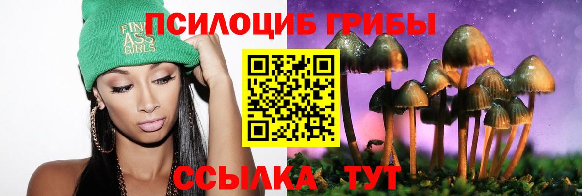 Галлюциногенные грибы Magic Shrooms Куйбышев